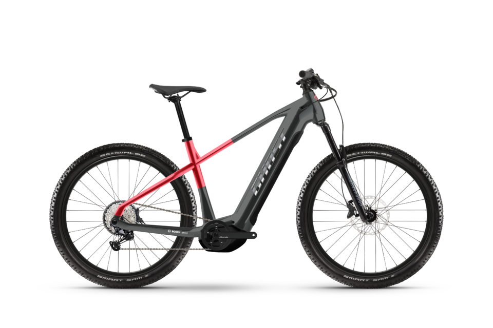 E-MTB Hardtail